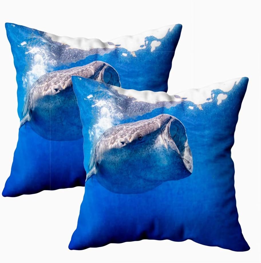 Musesh Comfort Pillow Cover, Pack of 2 Pillow Cases,Seasonal Whale Sharks Swimming Blue Waters Mexico Mujeres 18X18Inch Decorative Pillowcases for Boys Girls