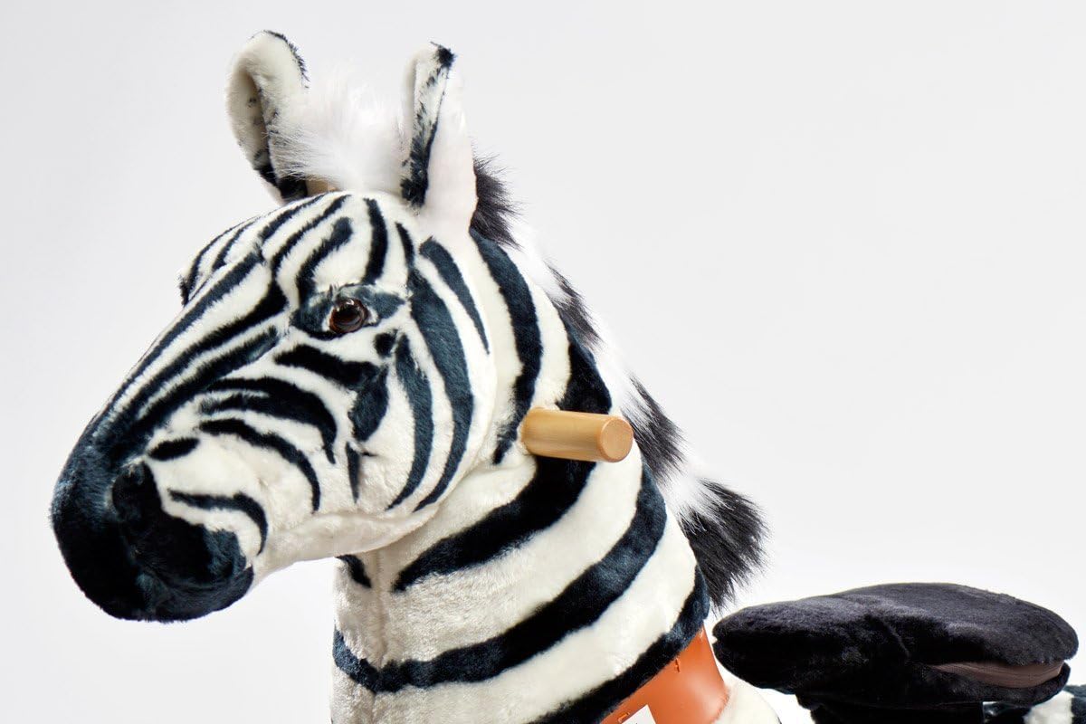 ponycycle zebra