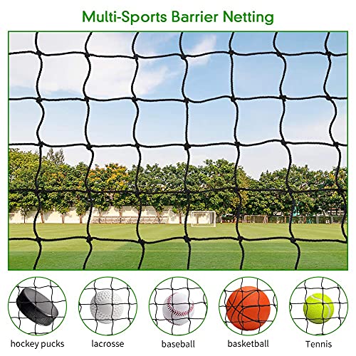 Wiseek 10'x10' Baseball Softball Backstop Nets, Heavy Duty Sports