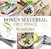 Kitchenette Premium Cutting and Chopping 5 Blade Fresh Herbs Stainless Steel Kitchen Small Scissors Plus Free Ebook and Free Bonus!