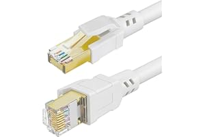 DDMALL CAT8 Ethernet Cable 10ft, High Speed 40Gbps 2000MHz Gigabit Internet Network LAN F/FTP CAT8 Patch Cord with Gold Plate