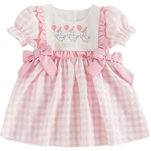 Toddler Baby Girl Birthday Outfit Silly Goose Smocked Dress Short Sleeve Birthday Girl Dress Cute Cake Smash Outfits