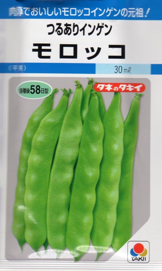 Amazon 種子 つるありインゲン モロッコ タキイのタネ 野菜