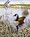 REAL TREE COTTON DUCK PANEL BY SYKEL-REAL TREE DUCK PANEL-SOLD BY THE PANEL