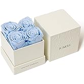 Rosaura 4-Piece Eternal Preserved Roses & Flowers Gift Box - Forever Lasting Real Roses, Preserved Flowers for Valentine's Day (Sky Blue)