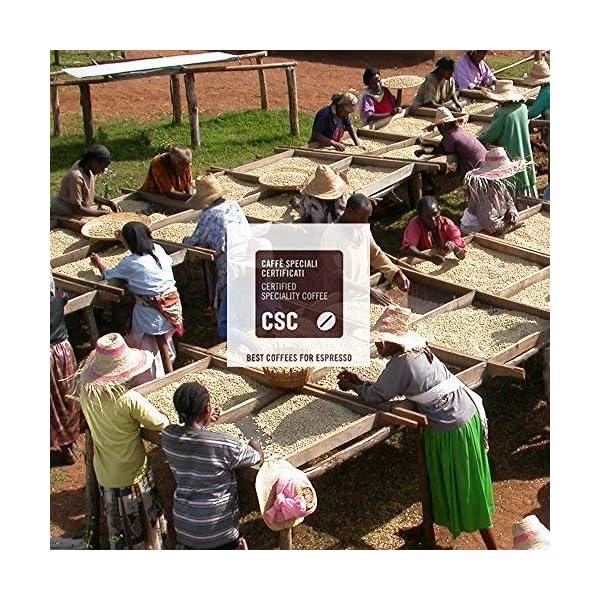 Ese Kaffeepads Alto Palomar Fair Trade und Bio 100% Arabica aus Peru | 50 x 44 mm – Bild 6