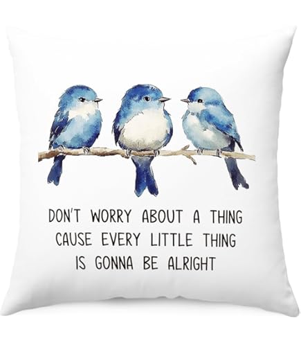 Fundas De Almohada De Regalo De Psicología, Regalos De Salud Mental Para Psicólogo, Psiquiatra, Terapeuta, Psicología Mayor, Funda De Cojín De Rueda De Sentimientos, Ideas De Regalo De Cumpleaños De