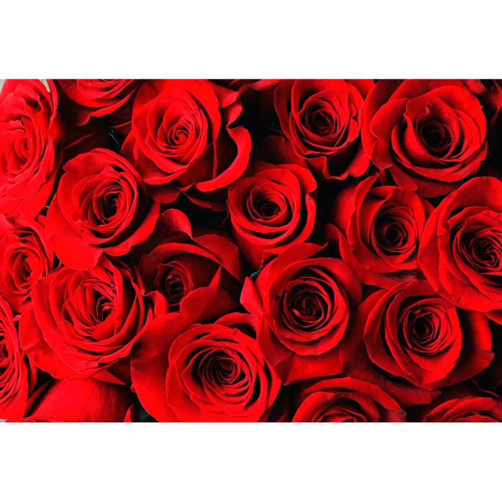 Aoihrraan 1,5x1m Red Rose Backdrop Romantic Flower Wall Bloom Floral Wedding Party Photography Background Anniversary Valentine's Day Cake Table Decor Supplies Lover Portrait Photo Studio Props