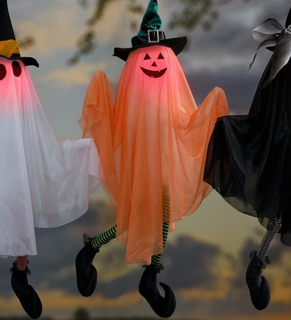 Plow &amp; Hearth MotionActivated Animated Halloween Ghost