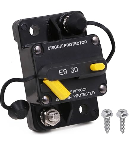 Amazon.com: CTEK D250SE, 20A, 12V Battery Charger For Starter And