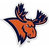 Rico Industries NCAA Utica Pioneers Shape Cut Pennant - Home and Living Room Décor - Soft Felt EZ to Hang