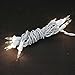 Novelty Lights 10 Light Clear Christmas Craft Mini Light Set, Non-Connectable, White Wire, 5.5' Long