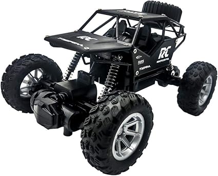 outdoor radio controlled cars
