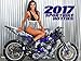 2017 16 MONTH SPORTBIKE HOTTIES CALENDAR SEP 2015 - DEC 2017 street road gsxr yamaha suzuki model pin up poster