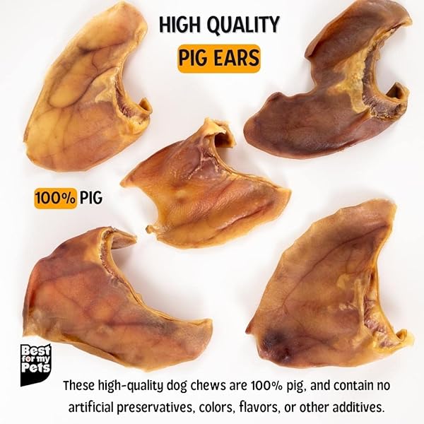 BEST FOR MY PETS PIG EARS FOR DOGS (WHOLE, 6 PACK), HEALTHY, HIGHLY DIGESTIBLE ALL NATURAL PIGS EARS LONG-LASTING DOG CHEWS, PORK DOG CHEW TREAT