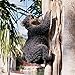 Design Toscano Yonva, the Climbing Bear Tree Wall Sculpture, 13 Inch, Polyresin, Full Color, Model:NG933988