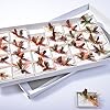 BLISSWILL-48Pcs-Butterfly-Fly-Fishing-Lures-Dry-Flies-Set-Floating-Flies-Hooks-for-Bass-Salmon-Trout