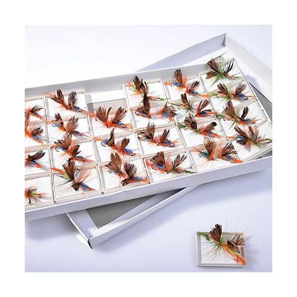 BLISSWILL-48Pcs-Butterfly-Fly-Fishing-Lures-Dry-Flies-Set-Floating-Flies-Hooks-for-Bass-Salmon-Trout
