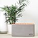 COMISO 30W Bluetooth Speakers with Super Bass, Bamboo Wood Home Speaker with Subwoofer - (Grey)