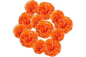 Hocansen 12Pcs Tissue Paper Pompoms 10/12in Paper Flower Ball for Birthdays and Special Occasions Party Hanging Decoration (10in+12in，Orange)