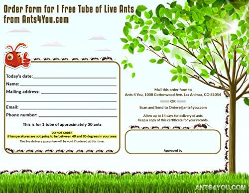 Voucher for 1 Tube of 30 Healthy Live Ants, Ant Farm Refill ants.