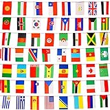 Buytra 100 Countries Flags 82ft International Flags Bunting Banner for Party Decorations,Olympics,Grand Opening,Bar,Sports Clubs,School Events,Cultural Studies and More
