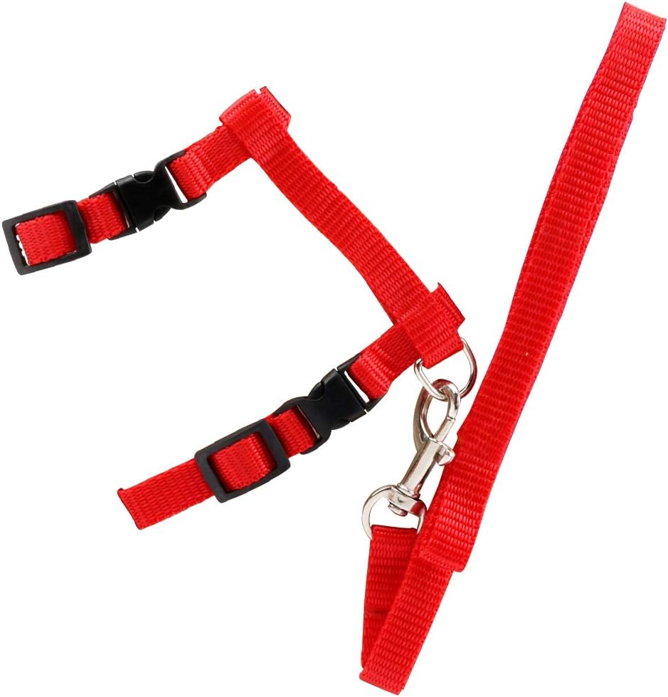 Cat Car Harness Seatbelt powder Walking Car Seat Belt Adjustable