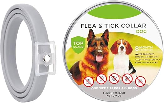 home bargains dog collar