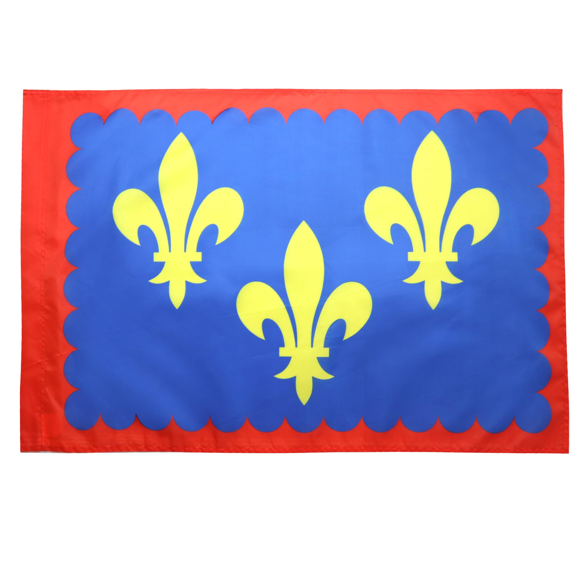AZ FLAG - French Province of Berry Flag - 2x3 Ft - Province of Berry Banner with Sleeve - 100% Polyester - Fade Resistant - Vivid Colors - 2' x 3' Feet - 90x60 Cm
