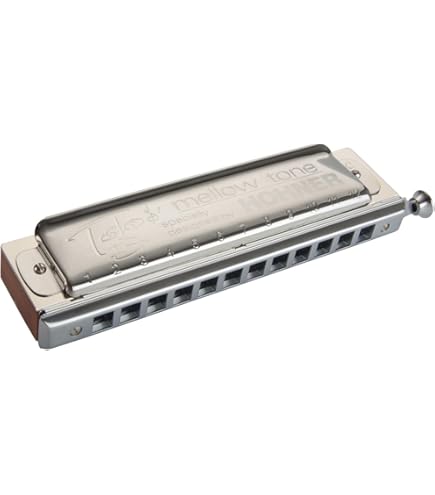 Amazon.com: Hohner Accordions Hohner Harmonica 7539-C Toots Hard