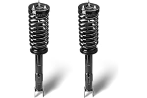 TADAAUTO Front Complete Struts Assembly w/Coil Spring Shock Absorber Compatible with 2005-2009 Chrysler 300, 2006-2010 Dodge Charger, 2005-2008 Magnum, Replace 172248, 2Pcs