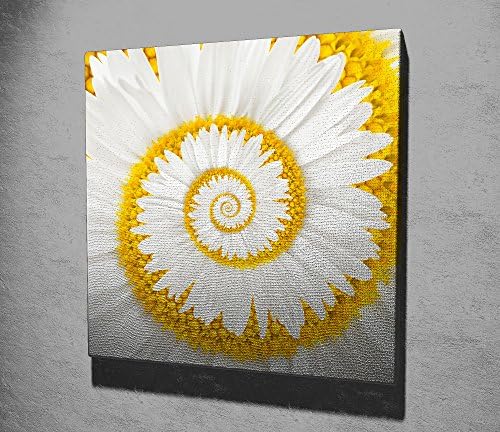 Dose Of Modern KC065 Decorative Canvas Painting 762SYM1236 - Multicolor