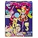 My Little Pony Equestria Girls Fluttershy with Pony