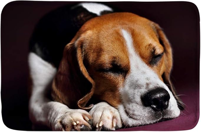 Hugs Idea Paillasson Adorable Chien Beagle Impressions D