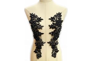 Labellezalady Beaded Rose Flowers&Leaves Rhinestone Pair Applique in Black for Prom Dress Belt,Bag,Light,GIFF Wrapping Arts Crafts Sewing decorat(PH23011BL)