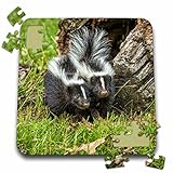 Danita Delimont - Animals - USA, Minnesota. Two