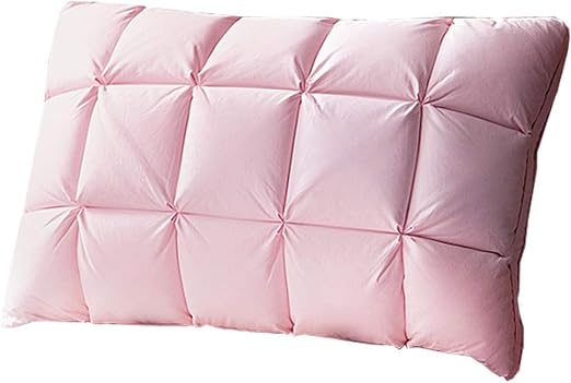 Amazon Com Wilbur Richardson Neck Pillow 100 Goose Down Bedding
