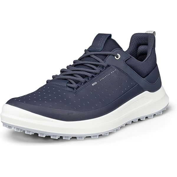 Amazon.com | ECCO Men's Biom C4 Gore-tex Waterproof Golf Shoe