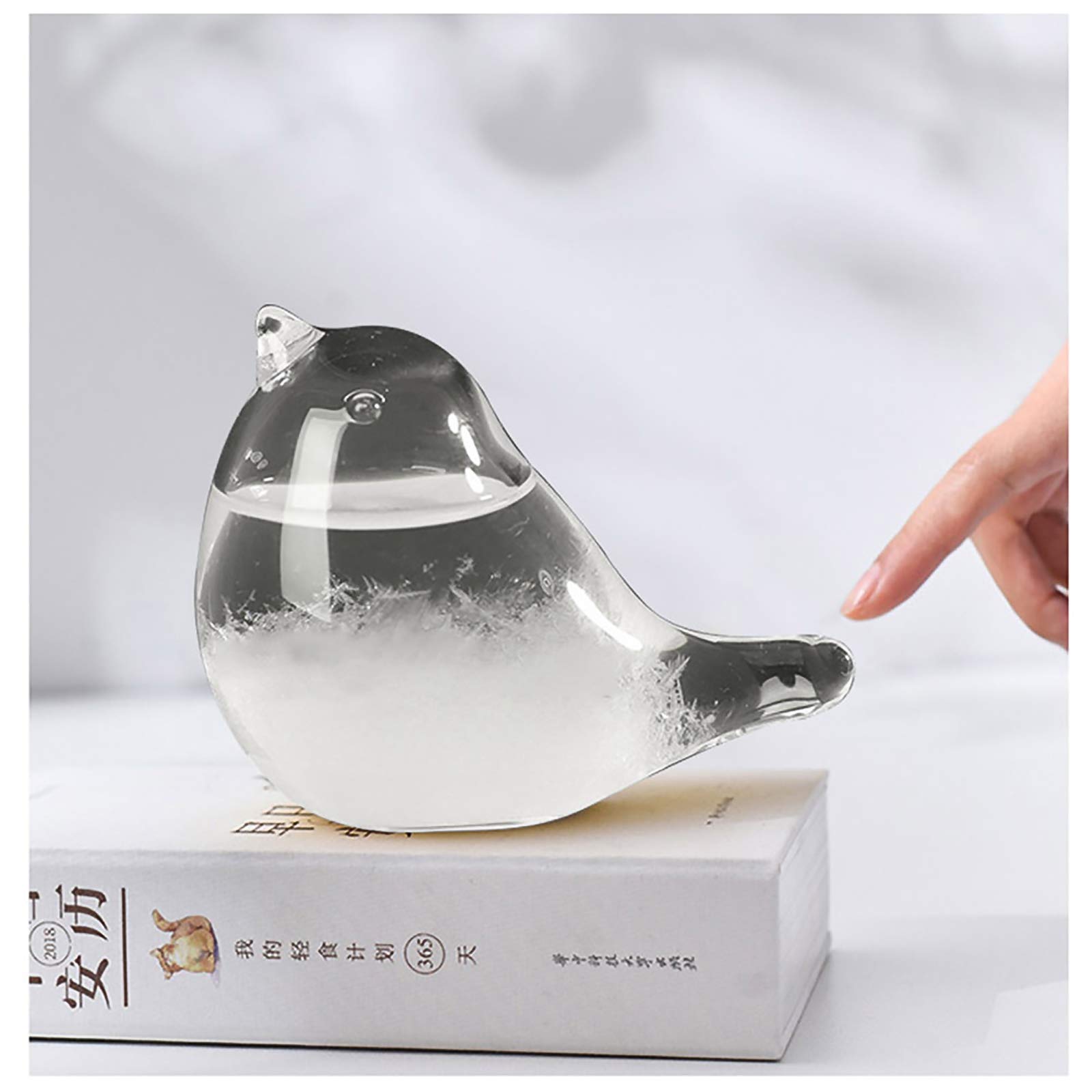 BIOBEY Storm Glass Weather Predictor,Weather Forecaster Barometer Bird Shape Crystal Desktop Decor Home Weather Stations for Home Office Birthday Valentines (Bird)