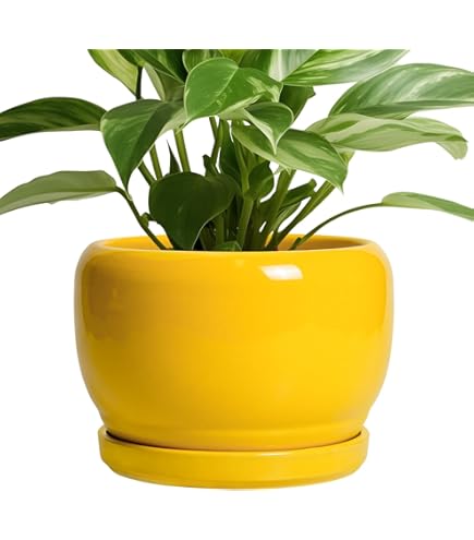 Amazon.com : Decbde Simple Flower Pot Chinese Style Yellow Flower Amazon.com : Decbde Simple Flower Pot Chinese Style Yellow Flower