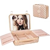 ZhenGuiRu Makeup Case with LED Lighted Mirror, 11.5''x 8.7'' Portable Travel Makeup Organizer, Toiletry Storage Makeup Bag Gift for Lady, DIY Dividers Makeup Box with 5X Magnifying Mirror (Pink)