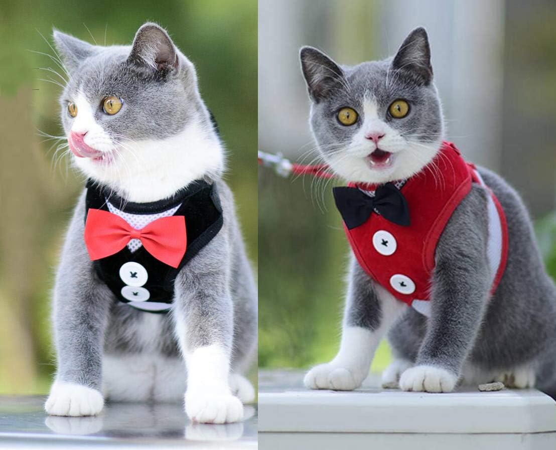 Oyccen 2 Pack Small Dog Vest Harness for Puppy Cats Adjustable Mesh Harness and Leash Set Pet Bowtie Wedding Suit Clothes - Image 5