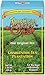 American Classic Pyramid Teabags, 12 Count