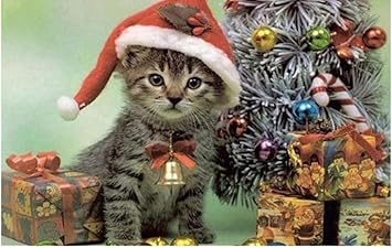 Cykejisd Peinture Par Numero Adulte 3d Bricolage Chapeau De Noel Cadeau Bell Chat Decoration Animaux Kit De Bricolage Decor A La Maison Peinture Cadeau Unique Amazon Fr Jeux Et Jouets