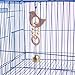 Safe Natural Wood Bird Cage Bite Toy with Bell, Hanging Pet Parrot Chew Play Toy For Sun Conures Monk Parakeets Cockatiels Lovebirds African Grey Cockatoo Amazon,Green-cheeked Small Medium Budgiesthumb 1
