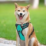 PoyPet No Pull Dog Harness Reflective Vest with 2 Leash Attachments (Mint Blue) view 2