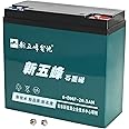 YC Yier 12V 20AH Sealed Lead Acid Battery with Nut & Bolt Connector Rechargeable Deep Cycle Replacement Battery for Electric Scooter E Bike Go Kart ATV Quad Buggy Golf Cart (1 Pack)