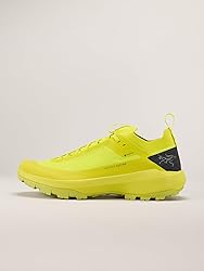 Arc'teryx Vertex Alpine GTX Shoe Men's | Fast and