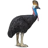 Safari Ltd. Cassowary Figurine - Detailed 3.5