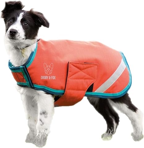 Shires dog coat Clearance